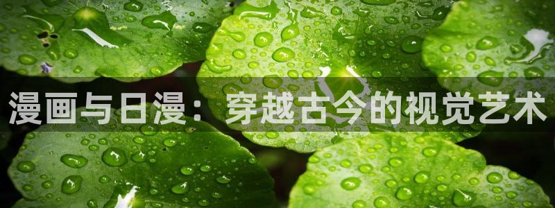 虫虫漫画韩漫在线观看：漫画与日漫：穿越古今的视觉艺术